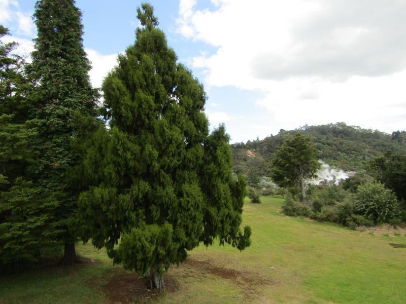 Pohutu Lodge Motel Роторуа Экстерьер фото