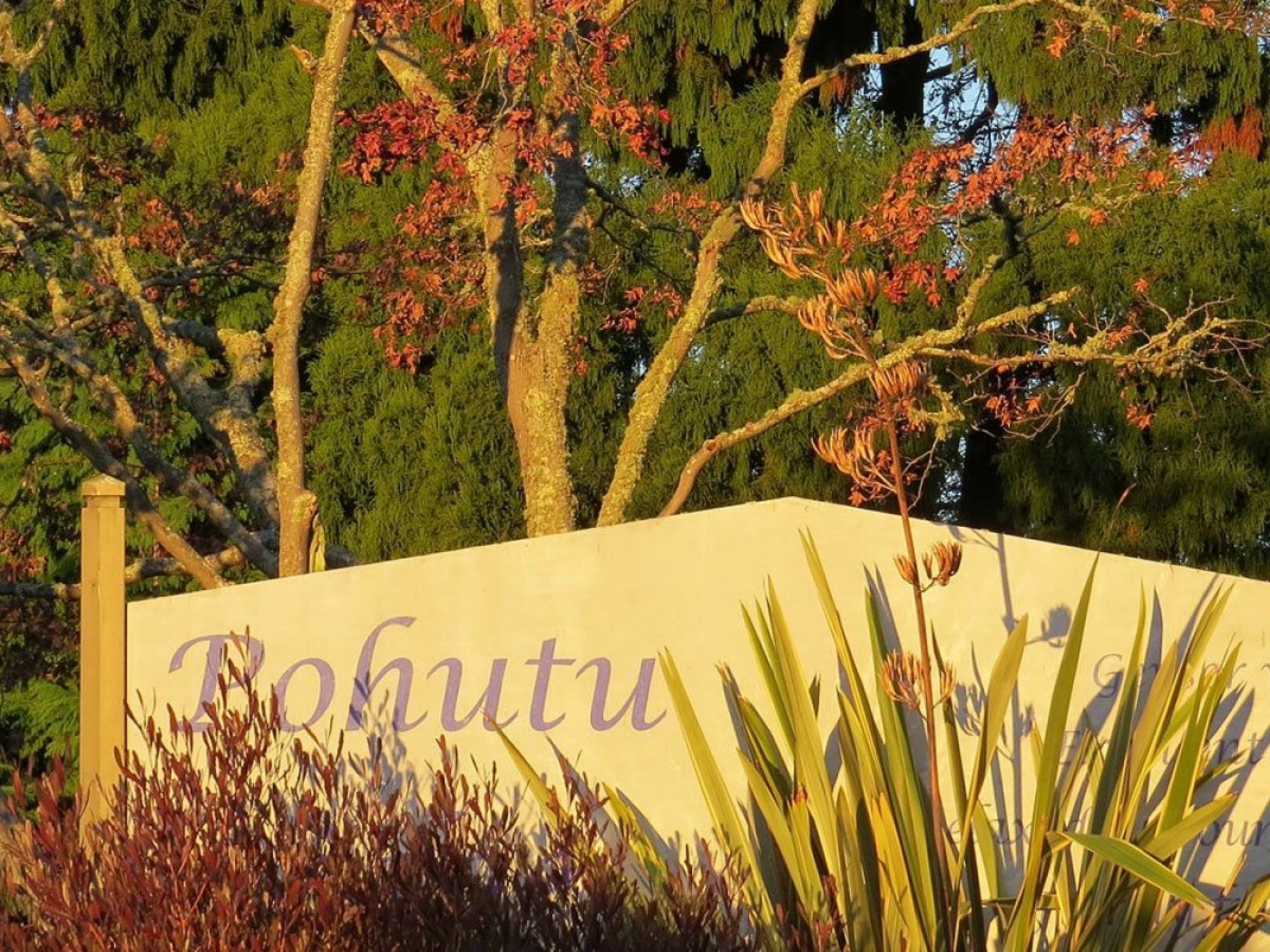 Pohutu Lodge Motel Роторуа Экстерьер фото